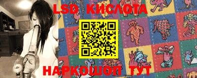 прущие грибы Комсомольск-на-Амуре
