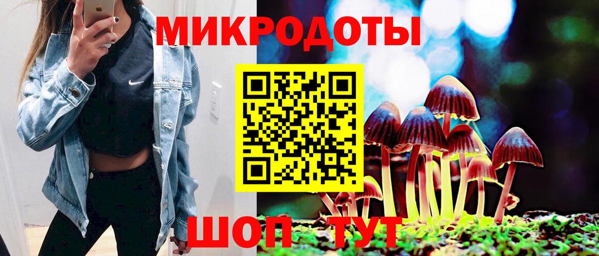 Псилоцибиновые грибы Psilocybe Чернушка