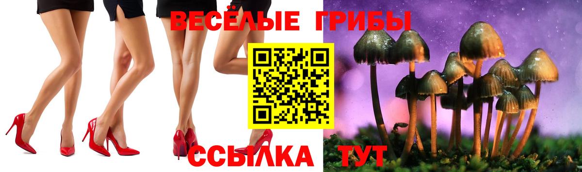 Псилоцибиновые грибы ЛСД  Галлюциногенные грибы GOLDEN TEACHER  дарнет шоп  Чернушка  Вход с VPN 
